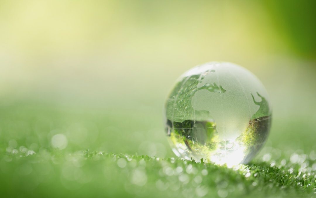 Impact of Internet of Things on Sustainability?